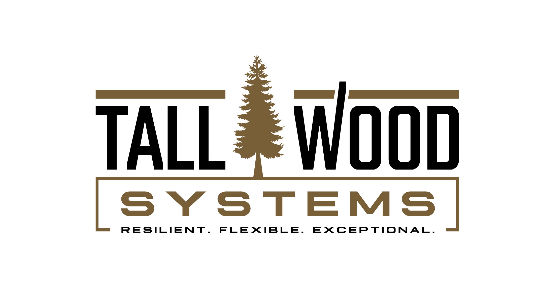 Tall Wood Systems
